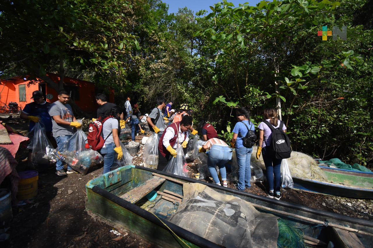 Realizan brigada de limpieza en manglares de La Laguna, en Medellín