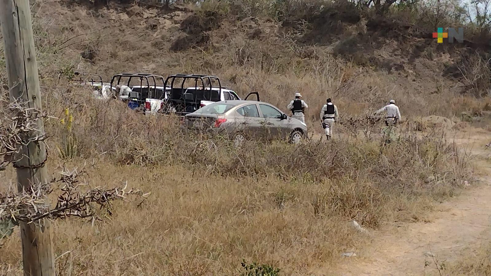 Autoridades federales y estatales colaboran con colectivos de búsqueda en Veracruz