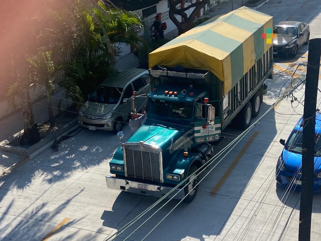 Camión de carga pesada deja sin energía eléctrica a vecinos de colonia Zaragoza de Veracruz