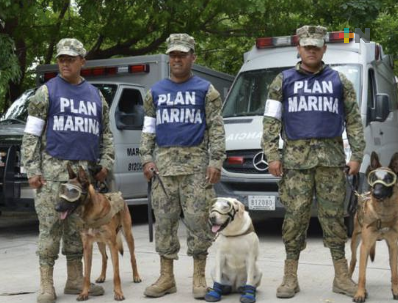 Buscan que Semar refuerce adiestramiento de unidades caninas para rescate en desastres naturales