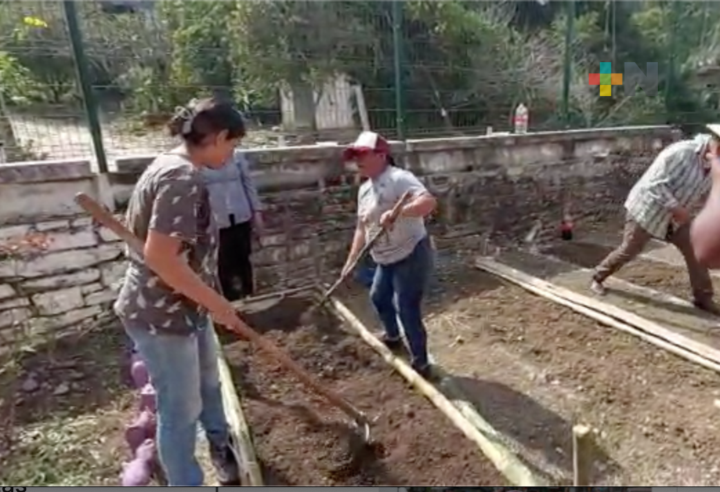 Realizan Tequio Agrícola en escuela primaria de Chicontepec