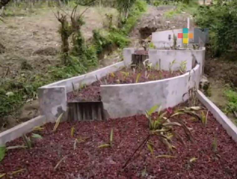 Construyen primer humedal artificial en comunidad de Misantla