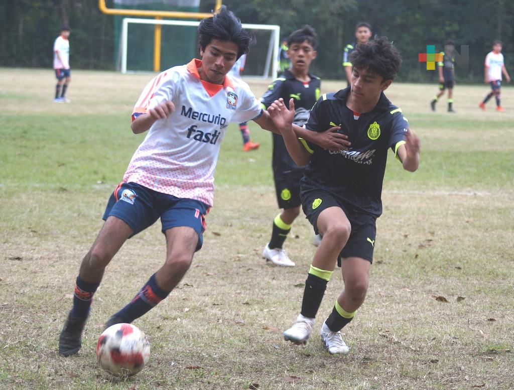 Delfines de Xalapa suman sexto triunfo, siguen invictos en LNJF