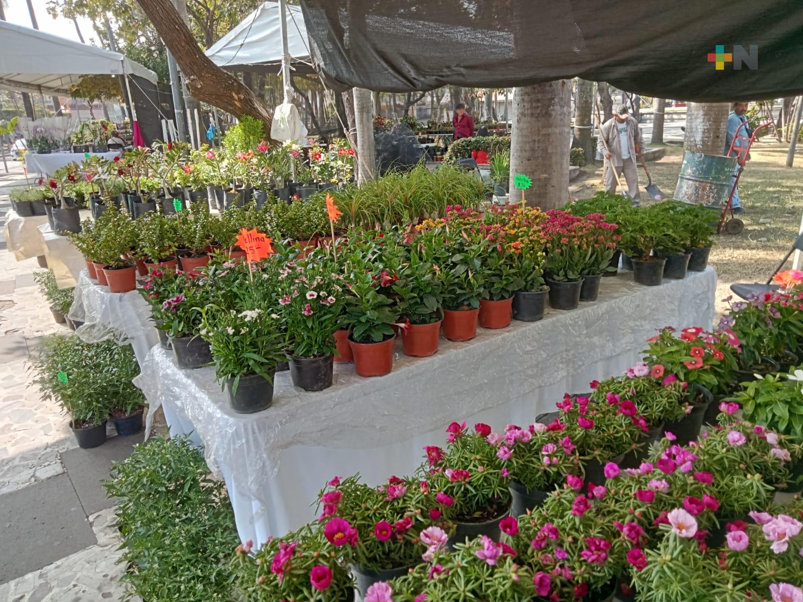 Exposición de flores llega al parque Zamora de Veracruz