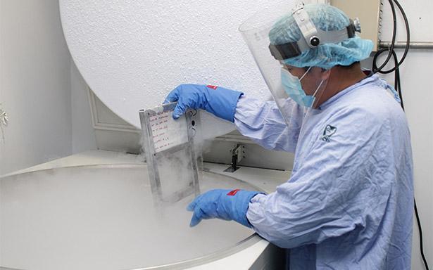 Con Banco de células de cordón umbilical, IMSS ha realizado trasplante de médula ósea a más de 150 menores