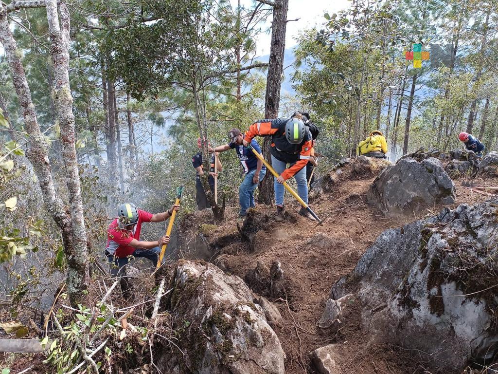 Varias dependencias trabajan en combate a incendios para minimizar impacto ambiental