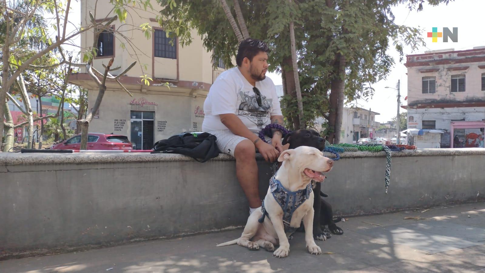 Con venta de correas para perro, tatuador  busca solventar cirugía para sus ojos