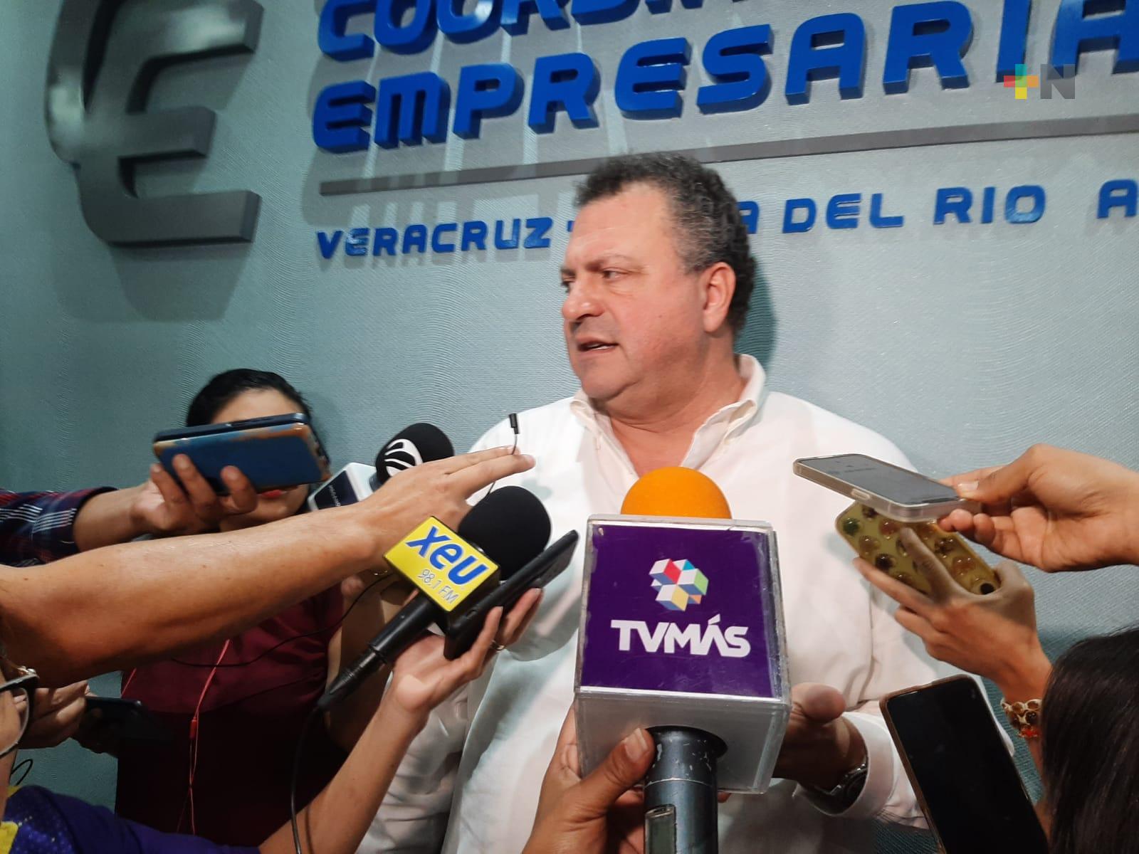 Veracruz cuenta con condiciones para recibir planta de Tesla: CCE