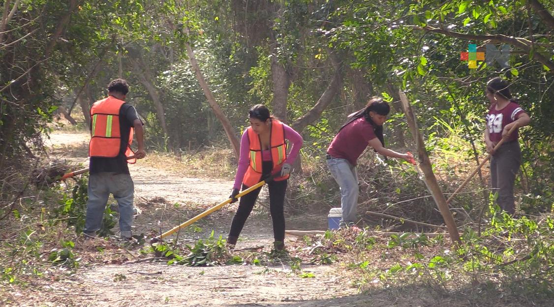 Inician trabajos de limpieza en manglar de Arroyo Moreno