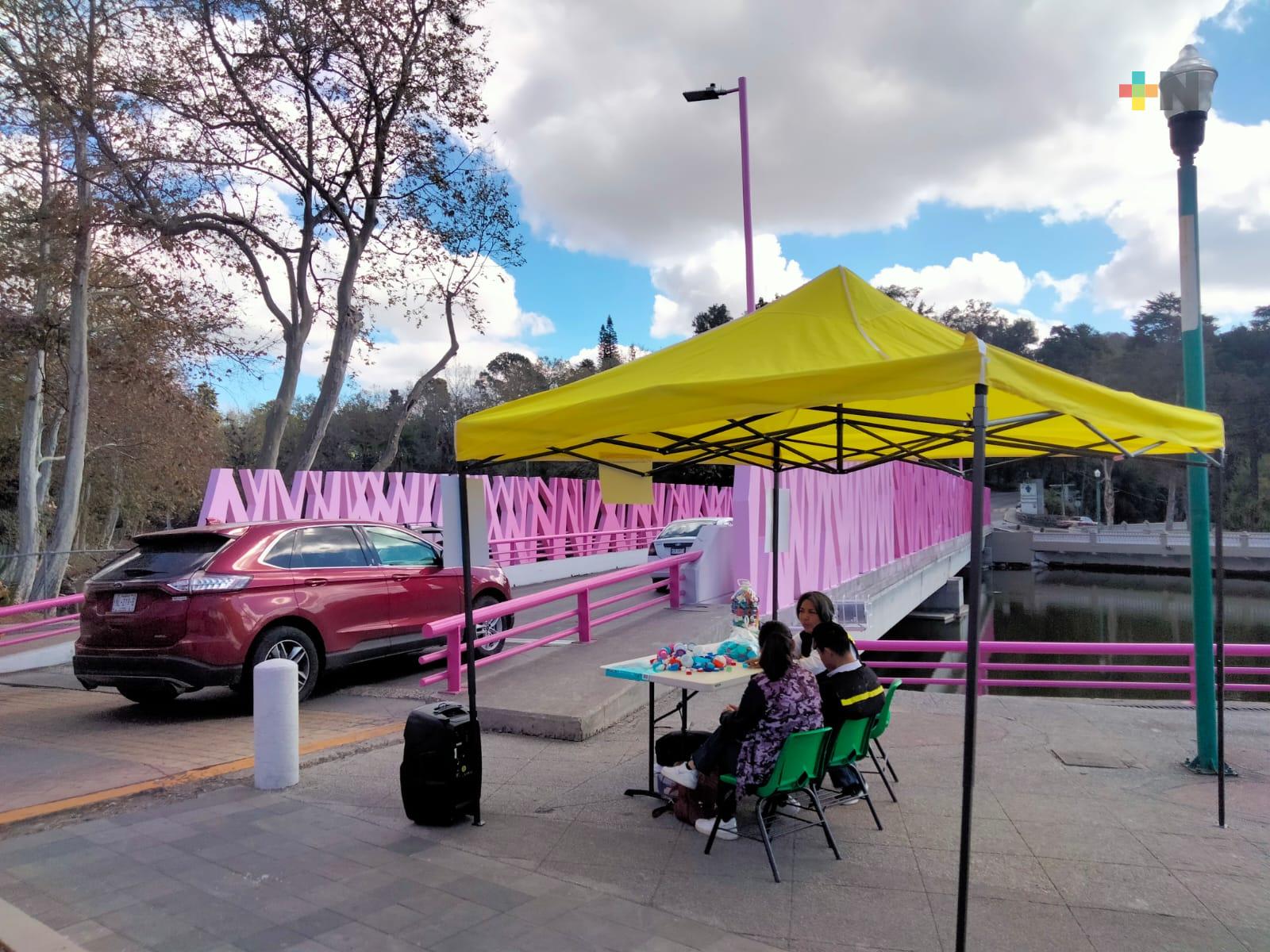 Se recopilan tapitas de plástico en los Lagos, en el Día Internacional de la lucha contra el cáncer
