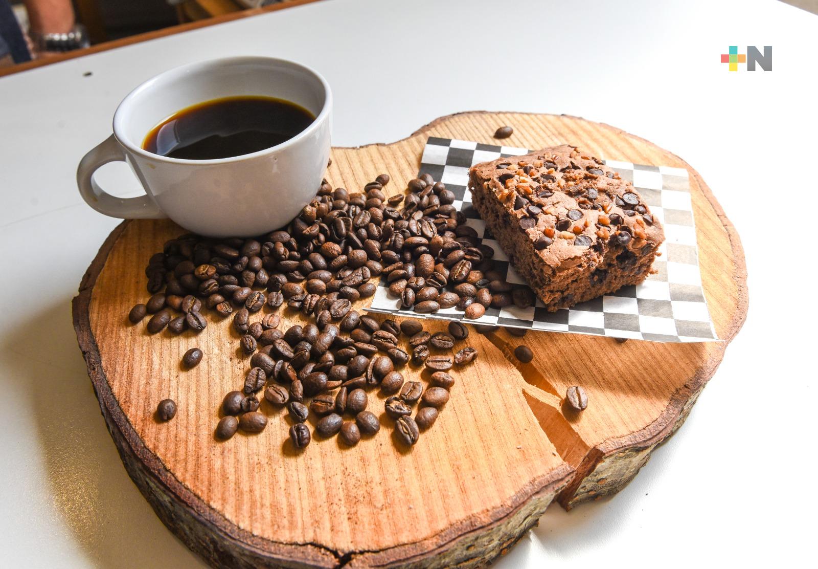 El 30 de junio inicia Festival Café Veracruz en Xalapa