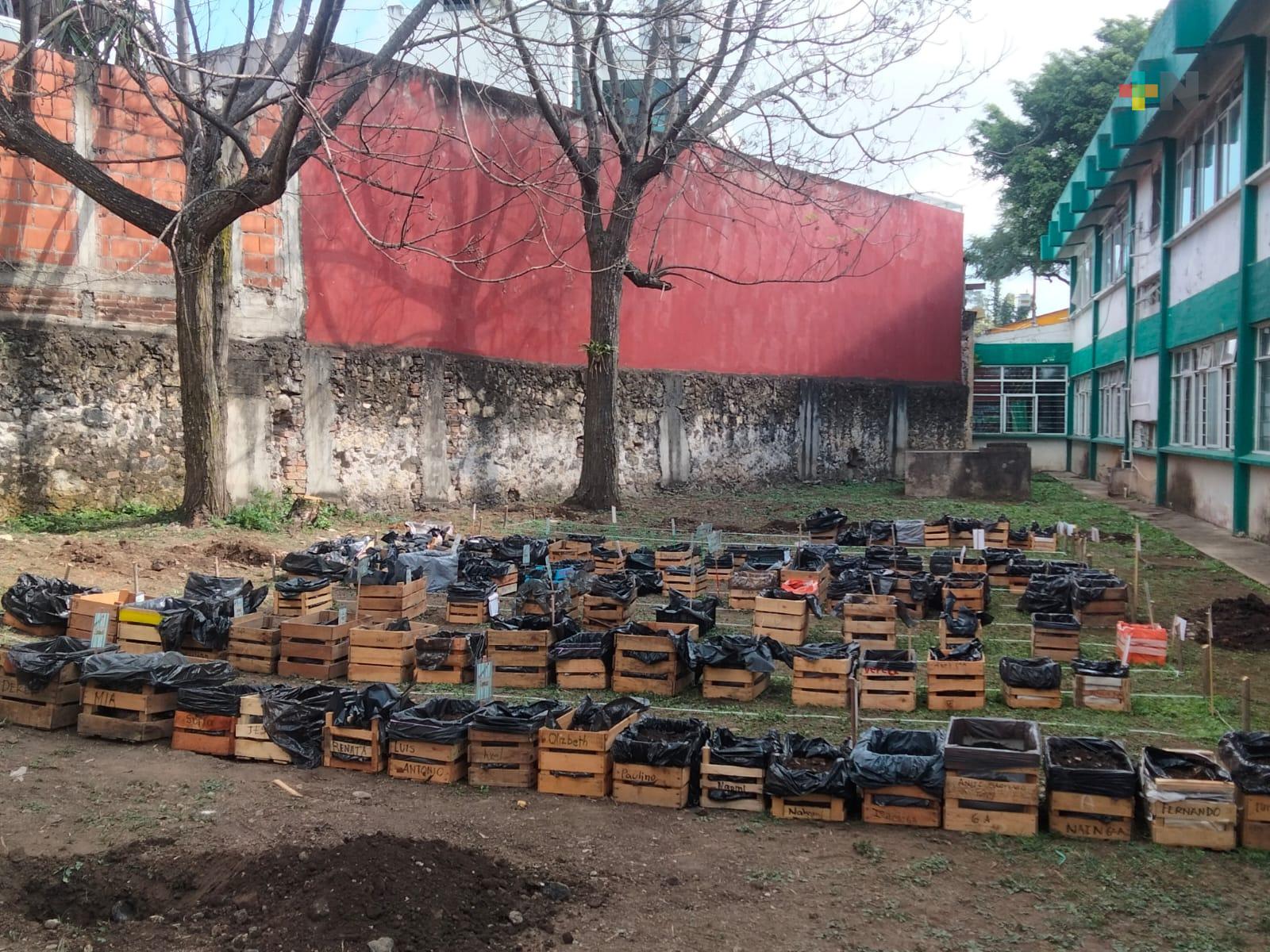 Instalan huertos en su escuela,  alumnos de la primaria «Luis J. Jiménez»