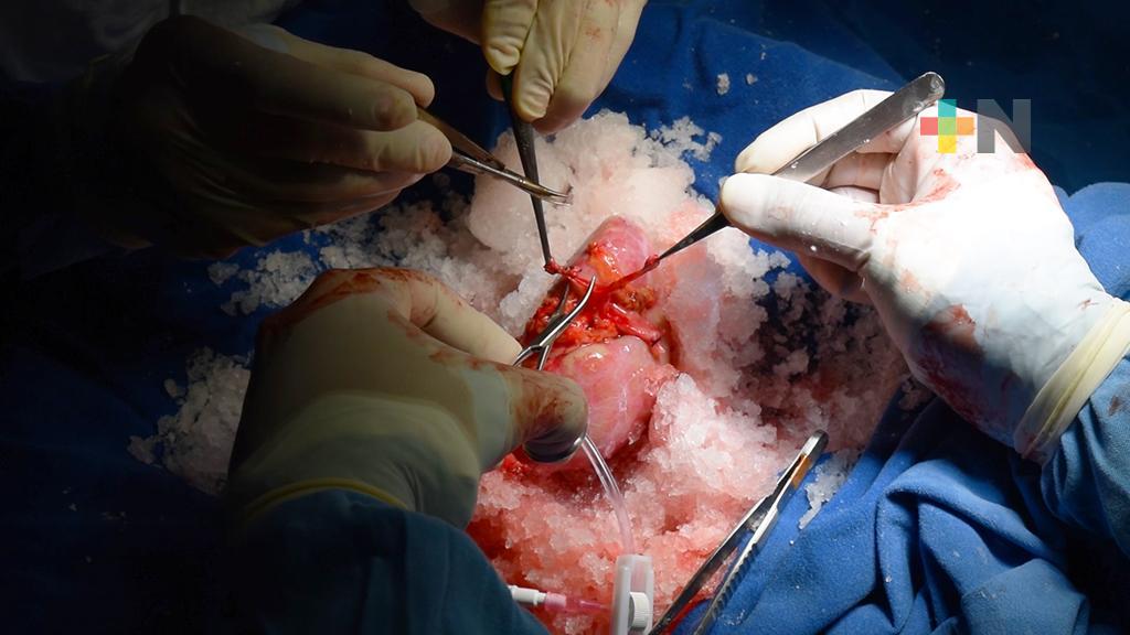 IMSS Veracruz Norte invita a hacer conciencia sobre donar órganos y tejidos