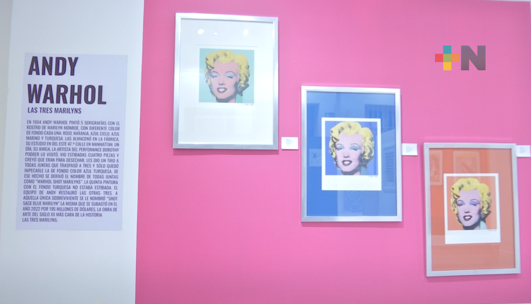 Invitan a visitar exposición de Pop Art en galería de Realia en Xalapa
