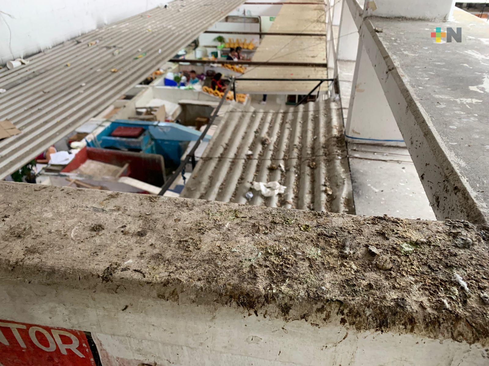 Piden comerciantes limpieza de techo del mercado de Coatza