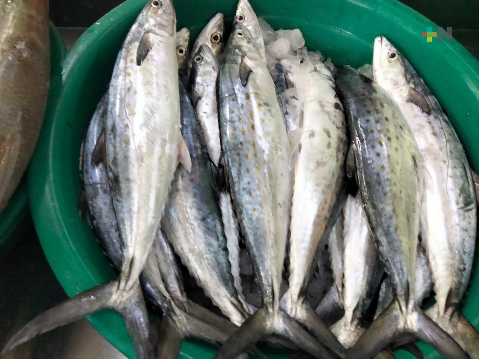 El precio de pescado y mariscos no aumentó, aun así no hay más venta