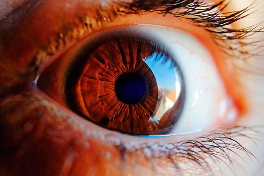 Retina: fuente potencial para diagnosticar Alzheimer