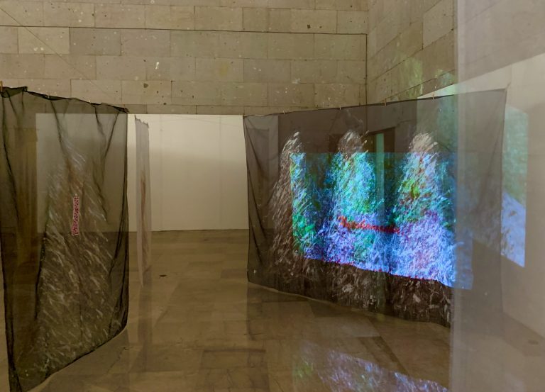 Presenta IVEC la videoinstalación Seres de luz, obra de Guillermina Ortega