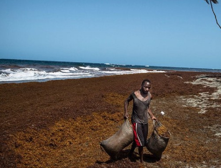 Subida del nivel del mar provocará un éxodo “de proporciones bíblicas”