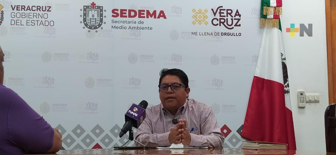 Deberán cumplir con verificación vehículos con retraso, so pena de multa y corralón