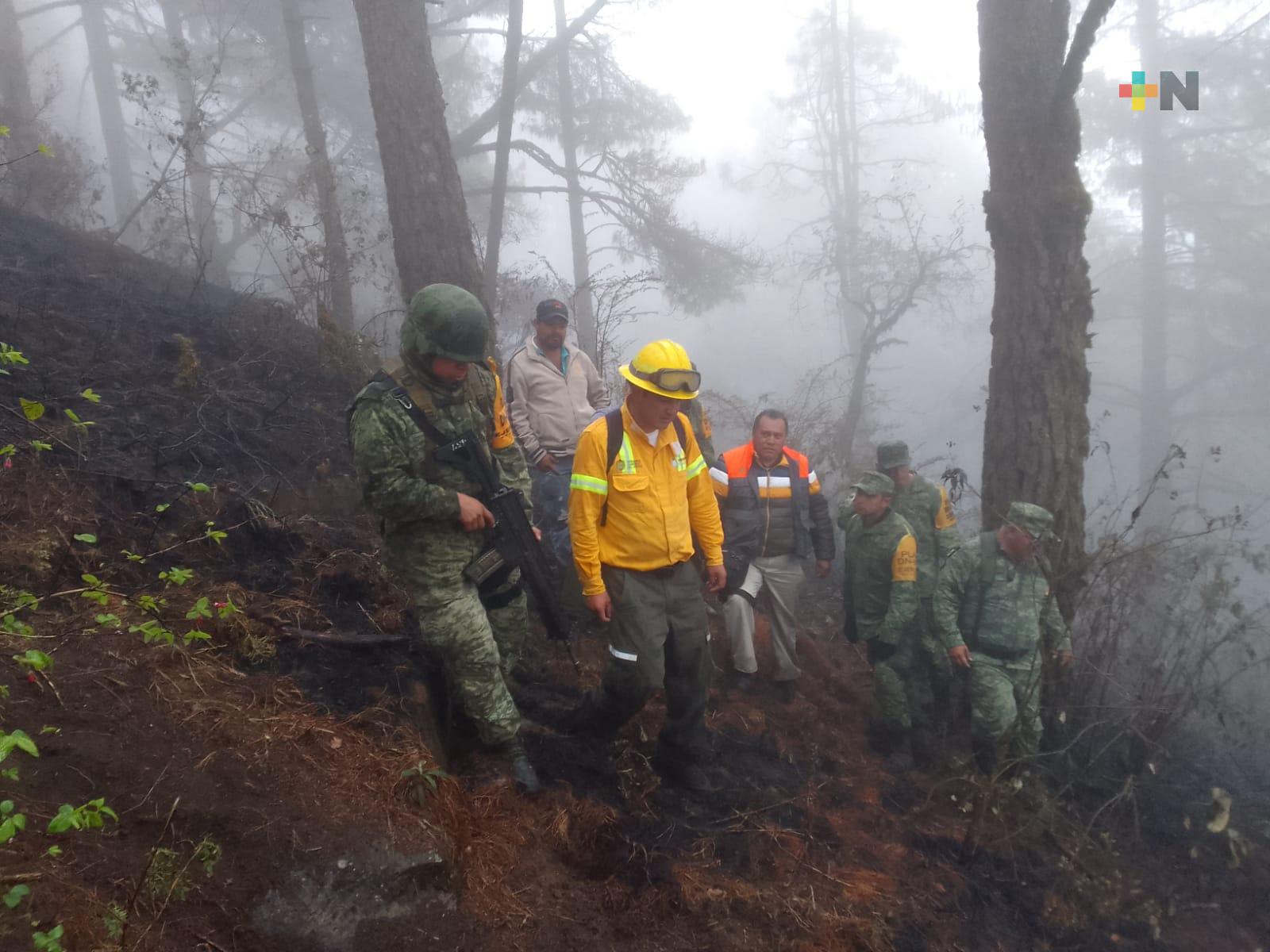 Fuerzas de tarea concluyen atención a incendios en zona de Cofre de Perote