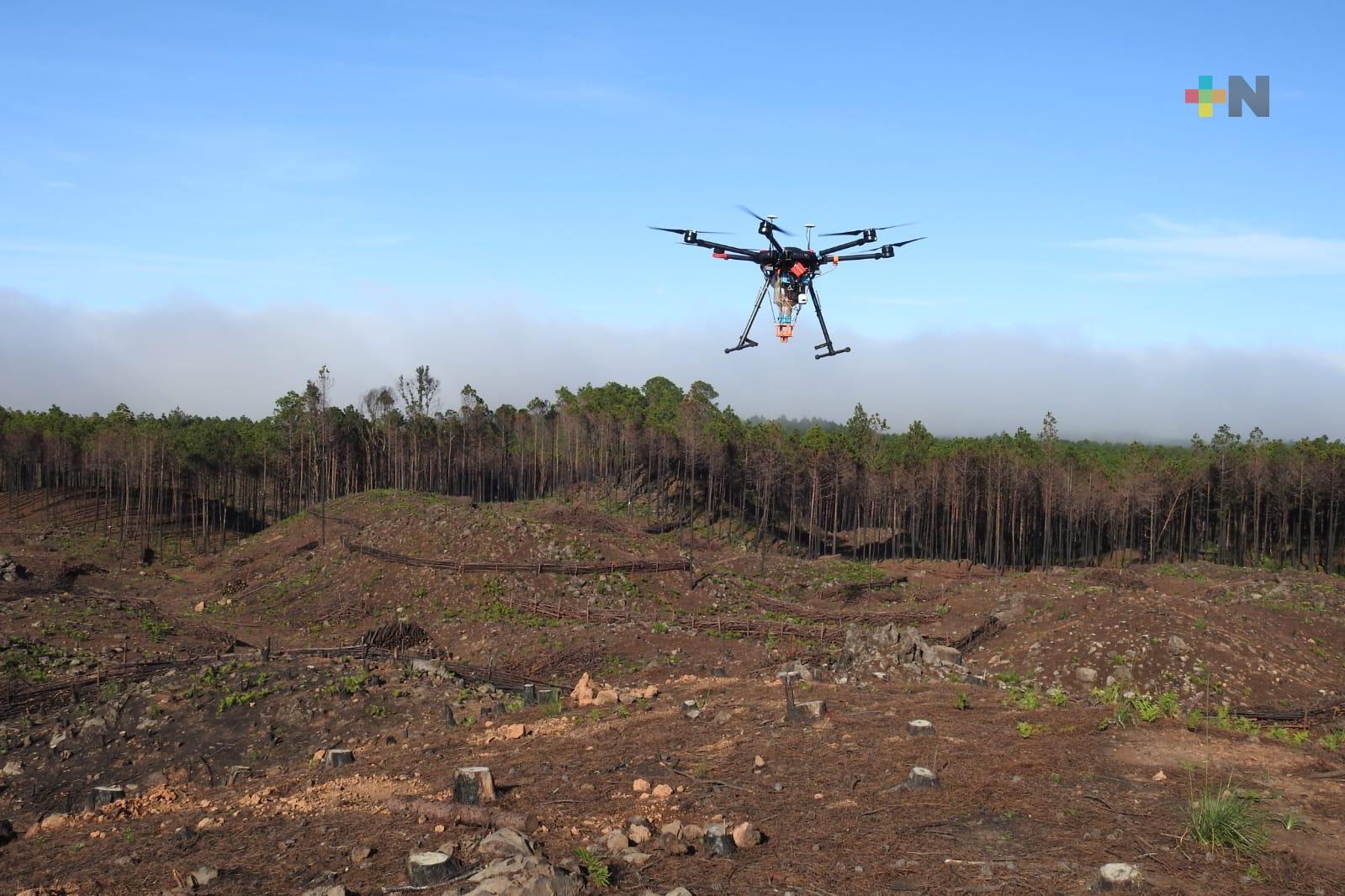 Destinará Sedema 50 mdp a 23 municipios afectados por incendios