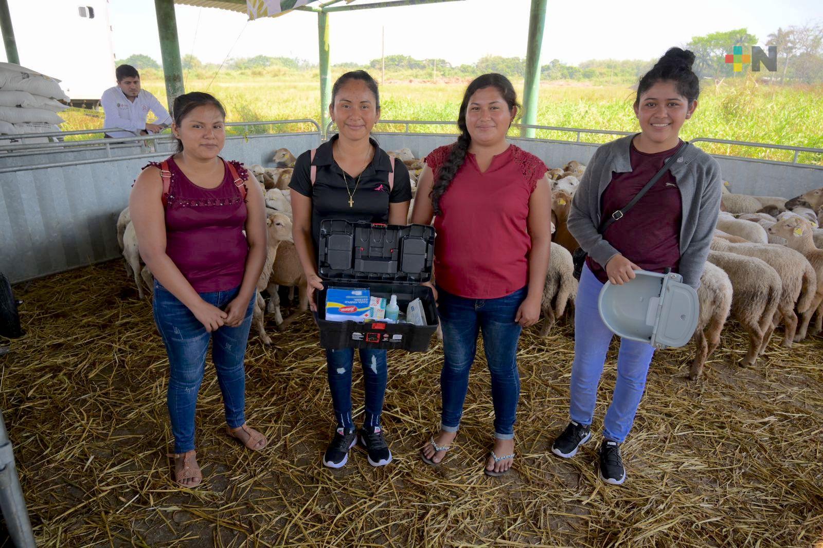 Impulsa DIF estatal desarrollo comunitario mediante proyectos productivos