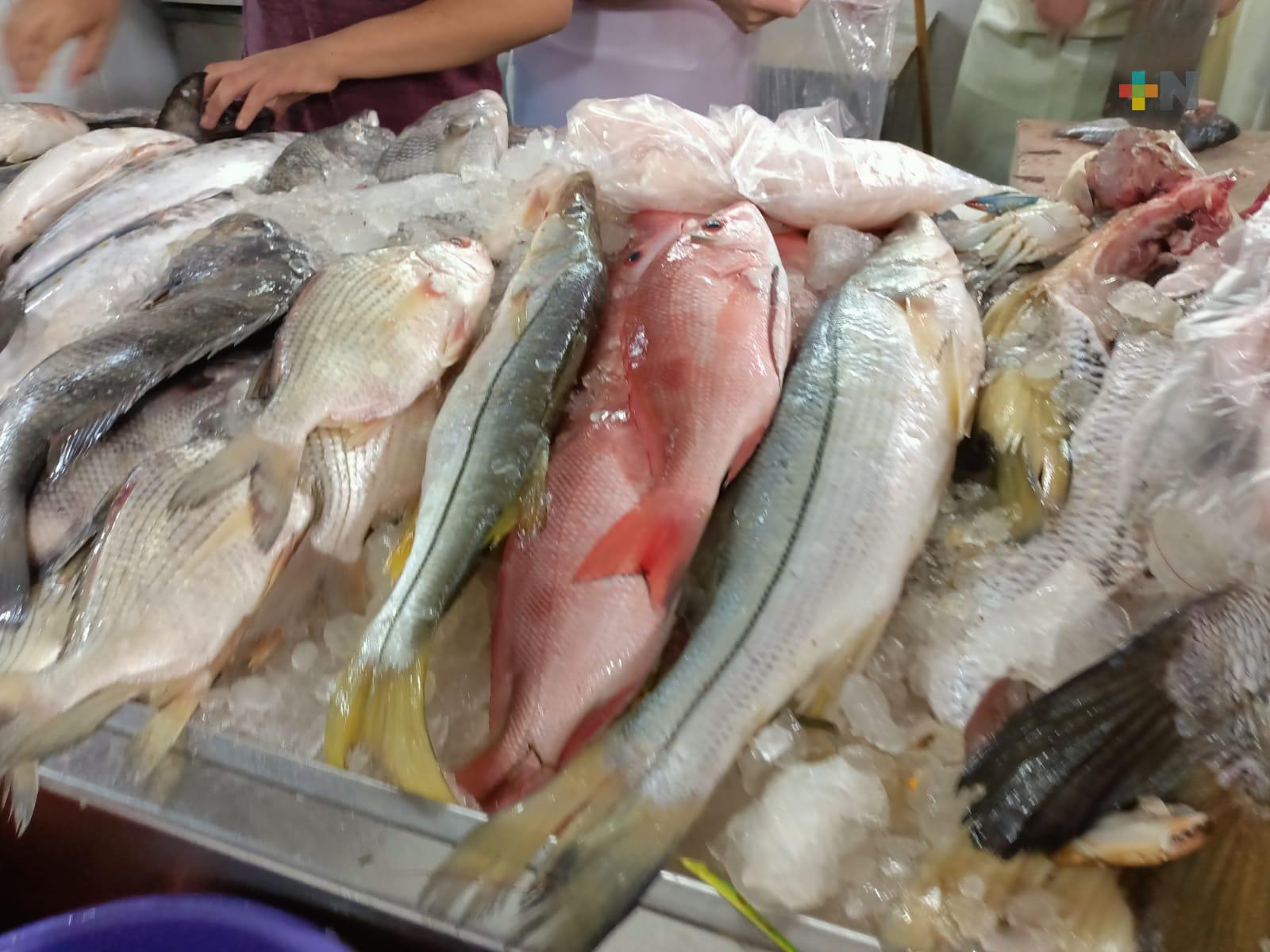 Nortes y frentes fríos no afectan la pesca en Tecolutla, Veracruz