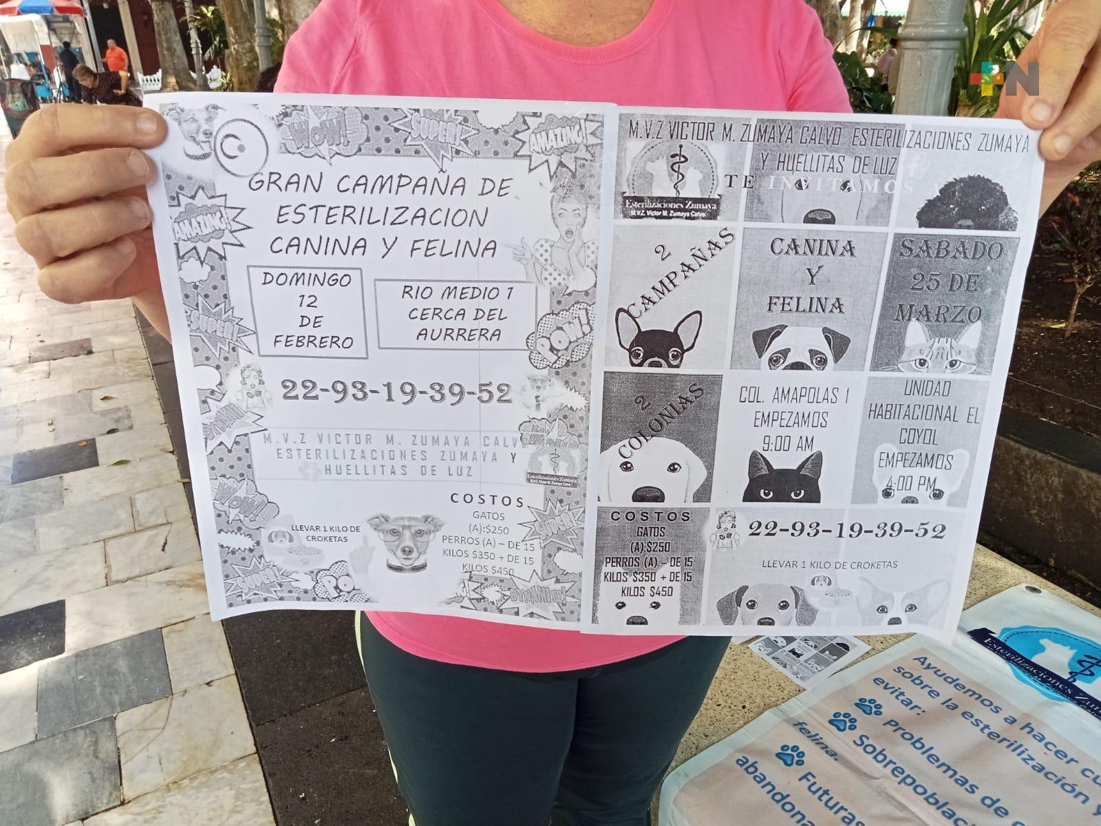 Invitan a campaña de esterilización de perros y gatos en municipio de Veracruz