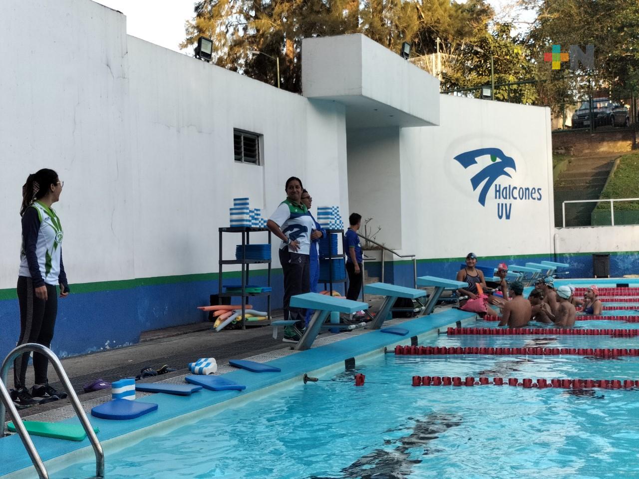 Halcones UV evaluarán aeróbicamente a sus nadadores