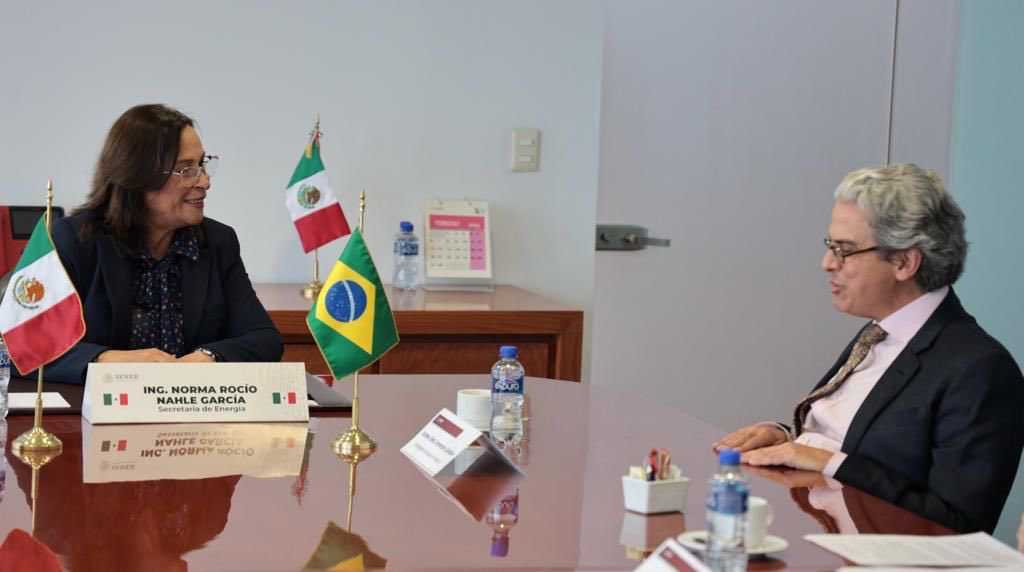 Sostiene Rocío Nahle reunión con embajador de Brasil en México