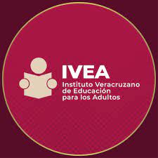 Rosa Vázquez denuncia despido injustificado del IVEA