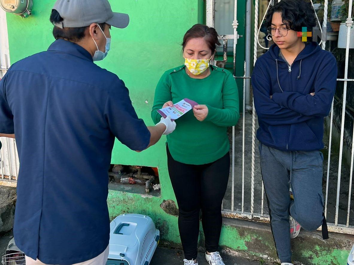 Dueños deben atender y cuidar a sus mascotas: Salud Animal de Xalapa
