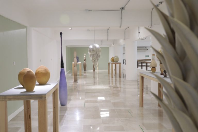 Realiza IVEC visita guiada por exposición Ceremonia Creativa para adultos mayores del Asilo Sayago