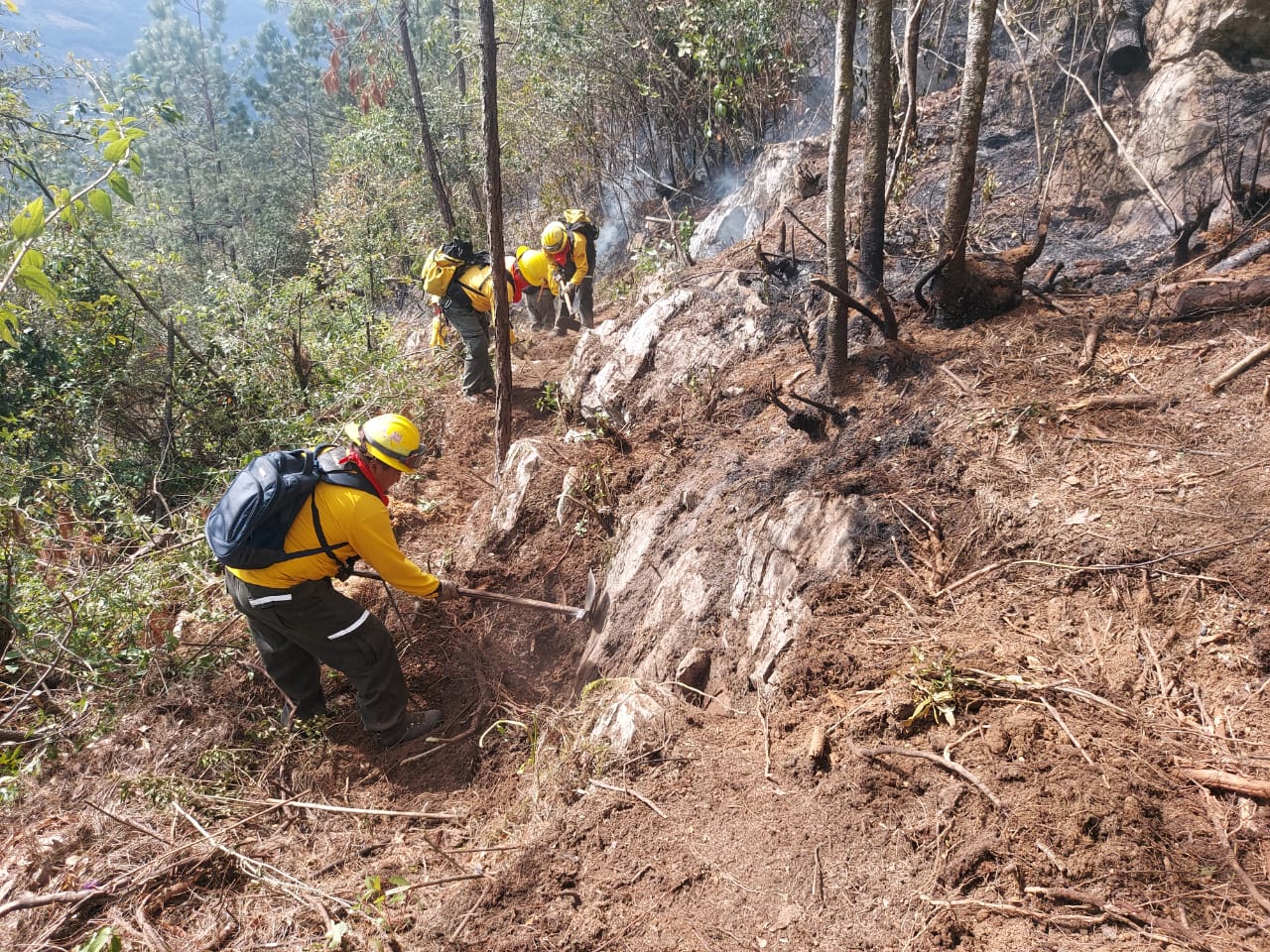 Reportan 60% de control en incendio forestal en el municipio de Tequila