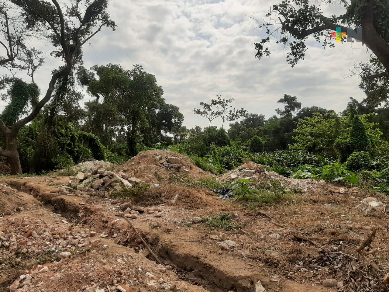 Manglar de Arroyo Moreno sigue perdiendo vegetación por tala clandestina