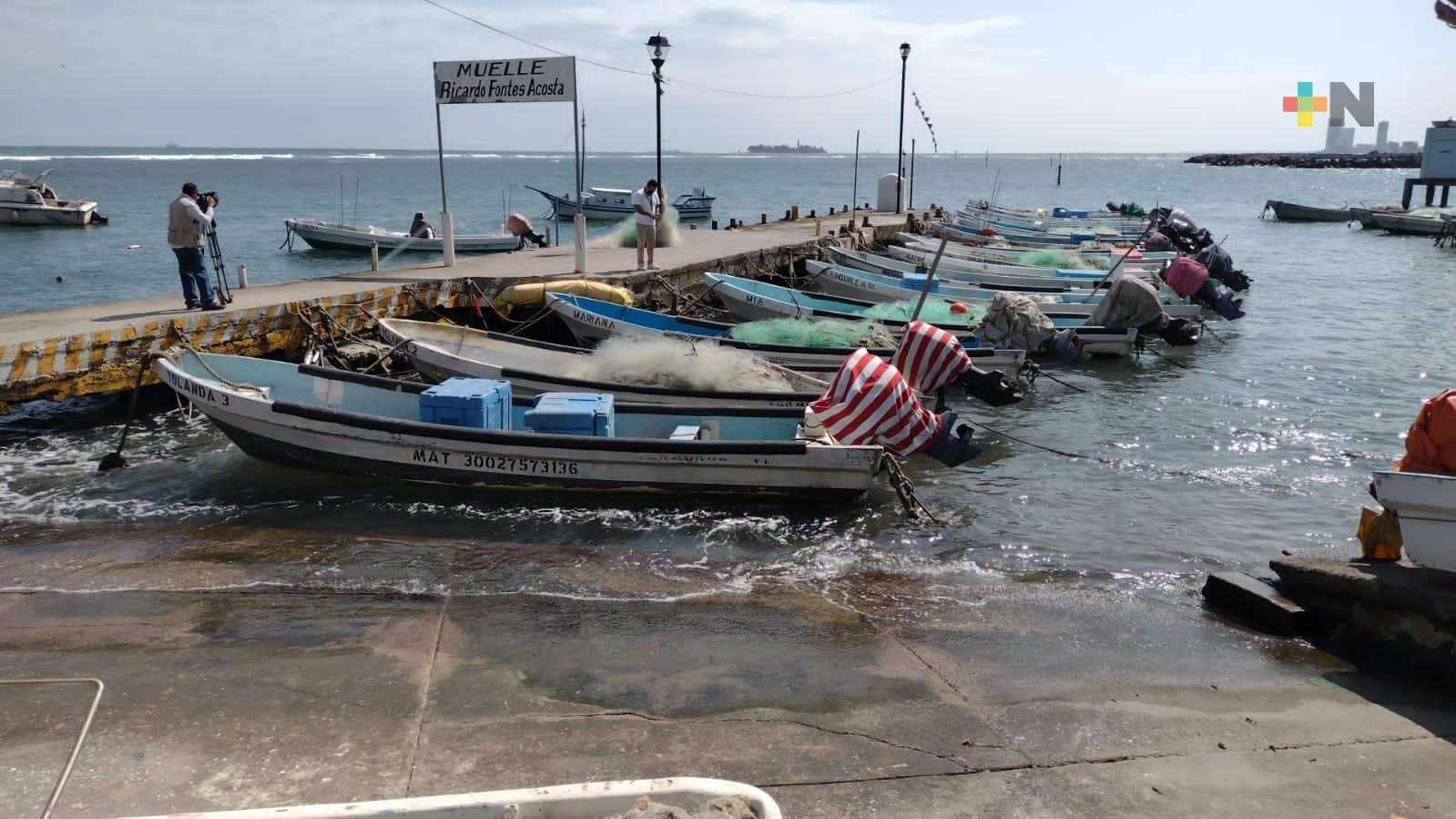 Captura extraordinaria de tonelada de pez sierra en costas de Veracruz, benefició a pescadores