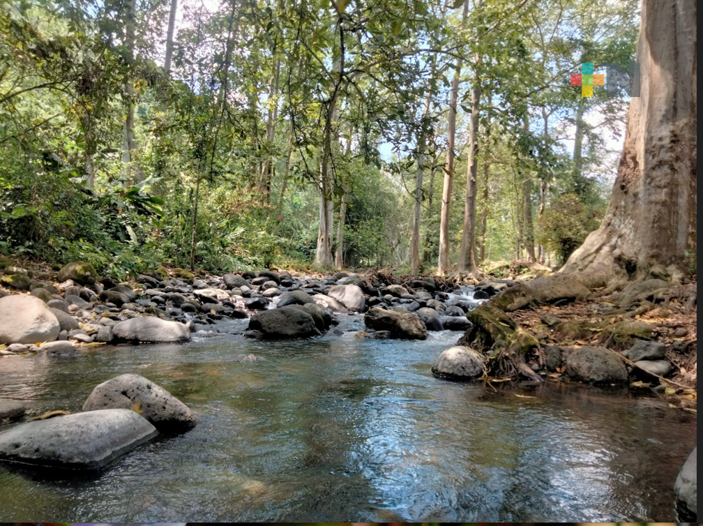 Acuerdan en Conago privilegiar energías renovables, detalló Gobernador