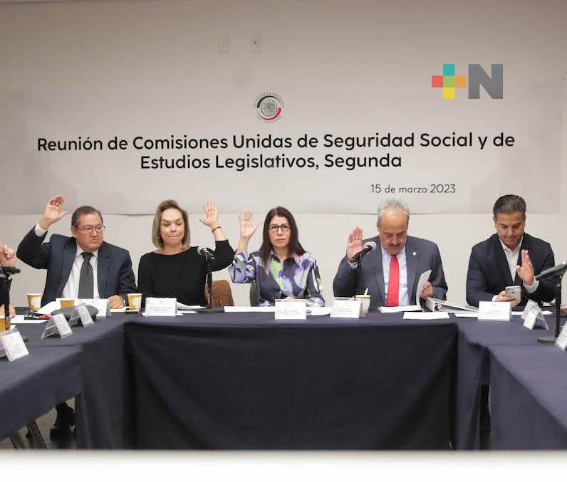 Avanza en comisiones del Senado dictamen para proteger patrimonio de trabajadores