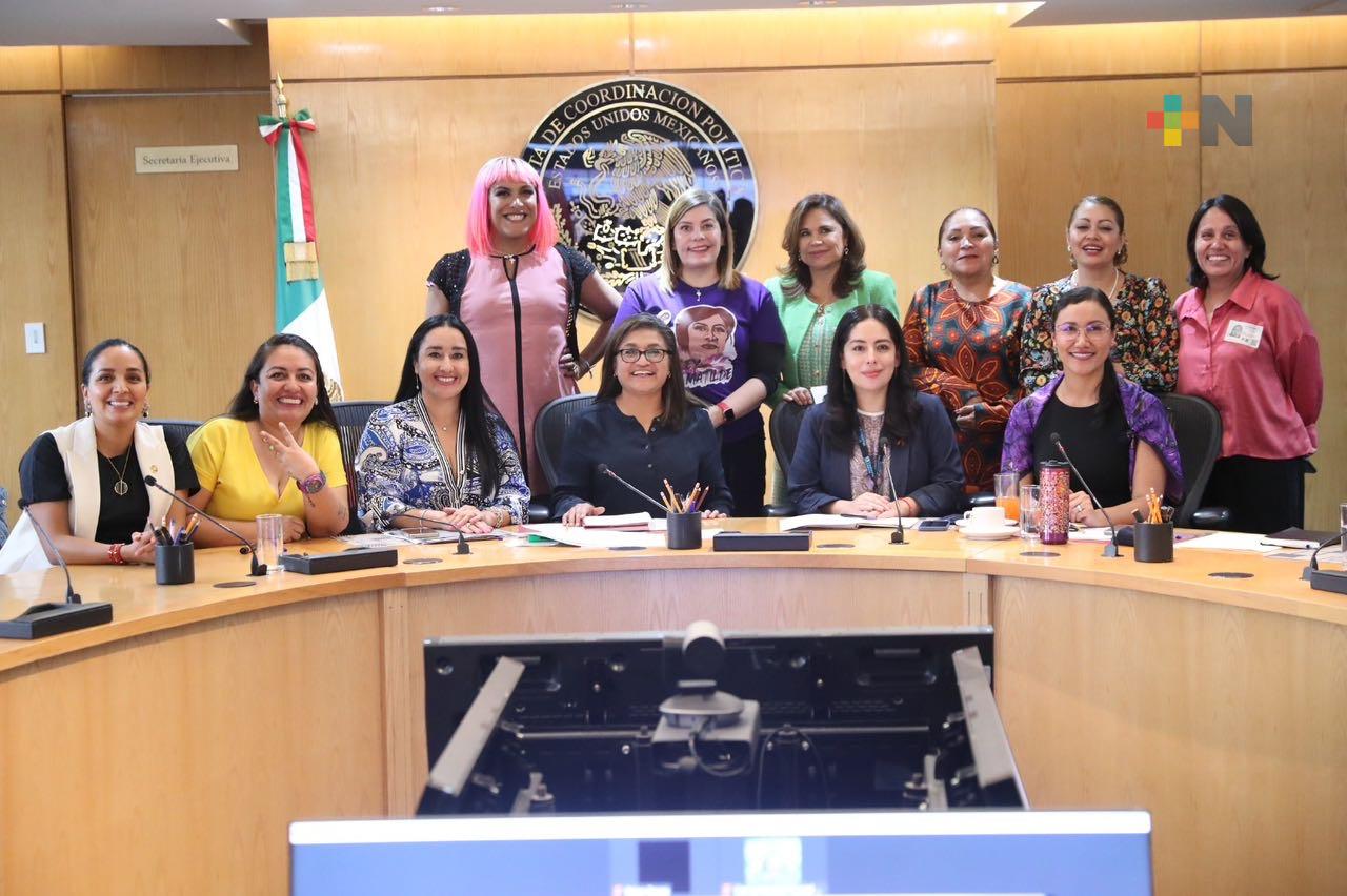 Diputadas del Grupo Plural de Igualdad Sustantiva se reunieron con ONU Mujeres