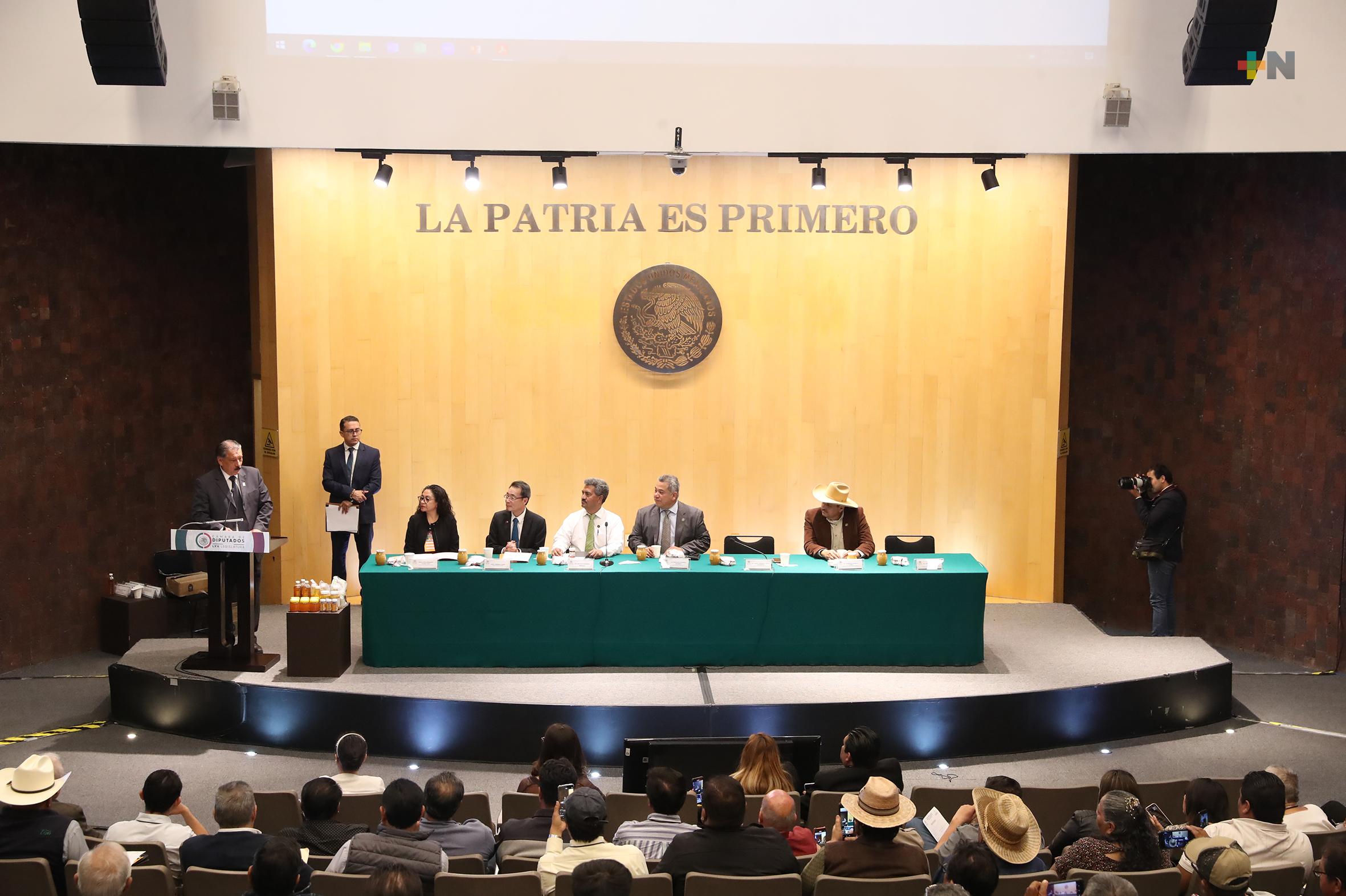 Diputados de Morena, PT y PRD destacan importancia de impulsar acciones a favor de la apicultura