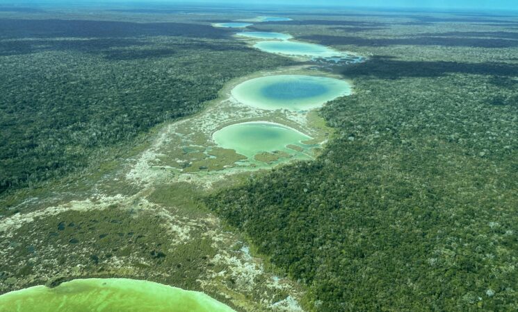 Tren Maya es un sueño que pronto será realidad: AMLO