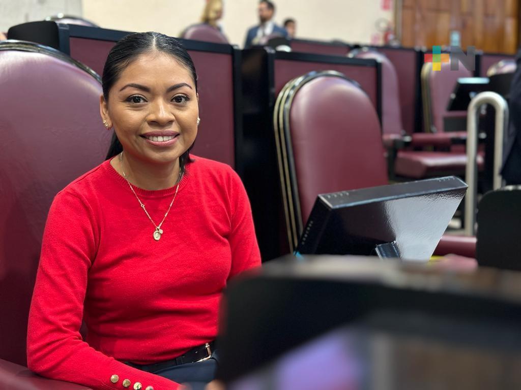 Seguirá Cuitláhuac García imponiendo récord en obra pública este año: Elizabeth Cervantes