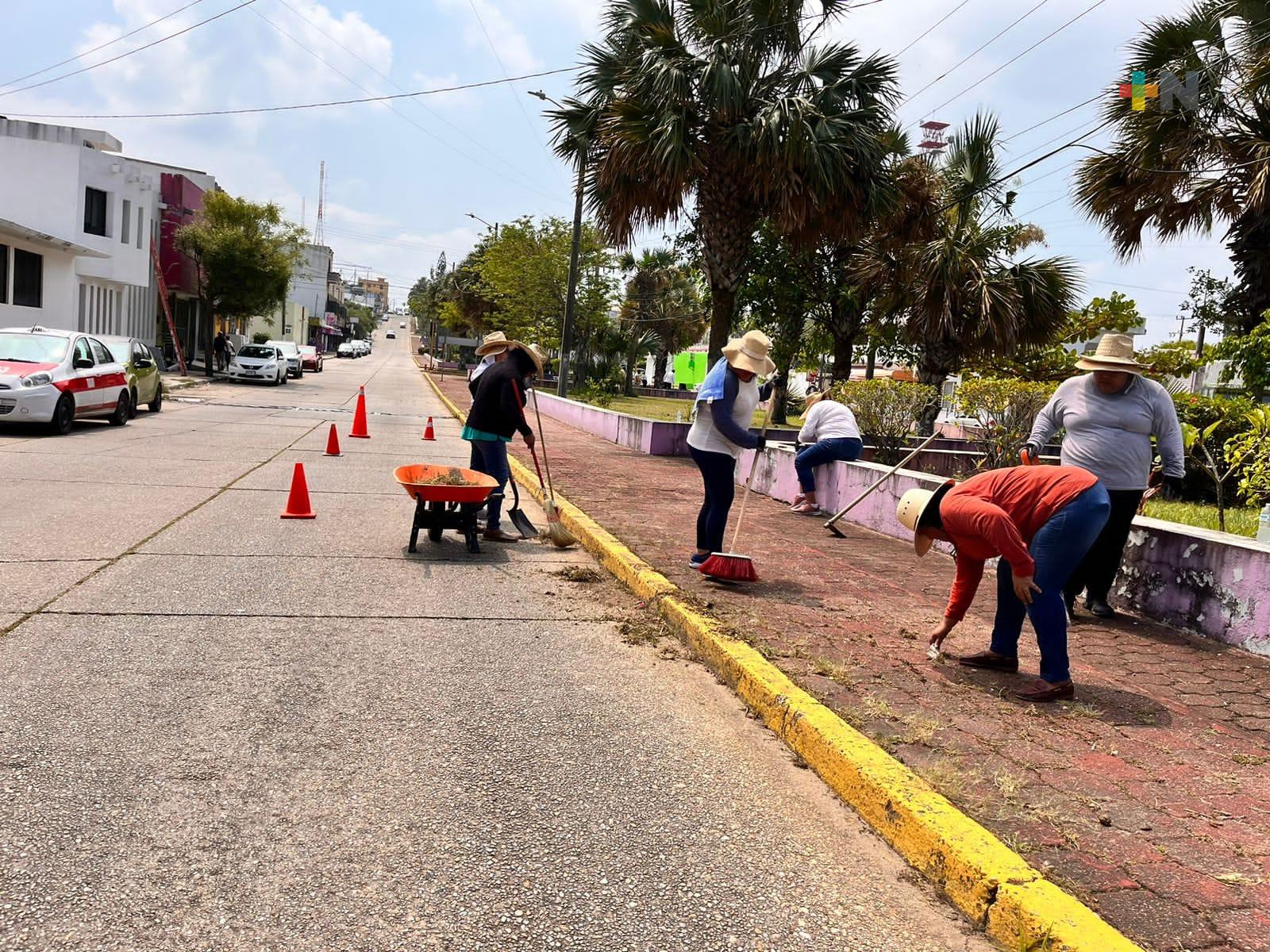 Se suma diputada a jornadas de mantenimiento de imagen urbana en Coatzacoalcos