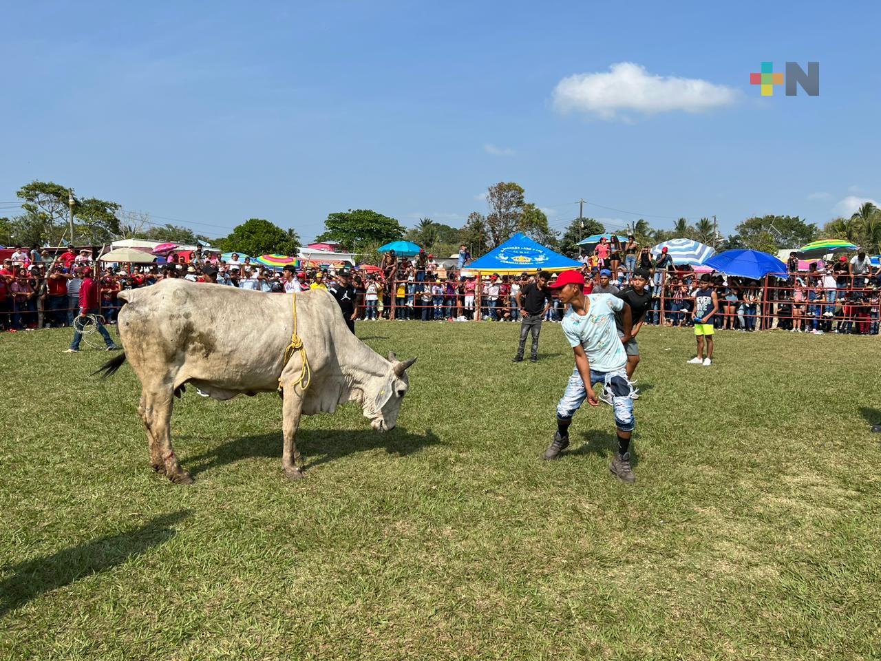 Realizan suelta de toros en Amatitlán