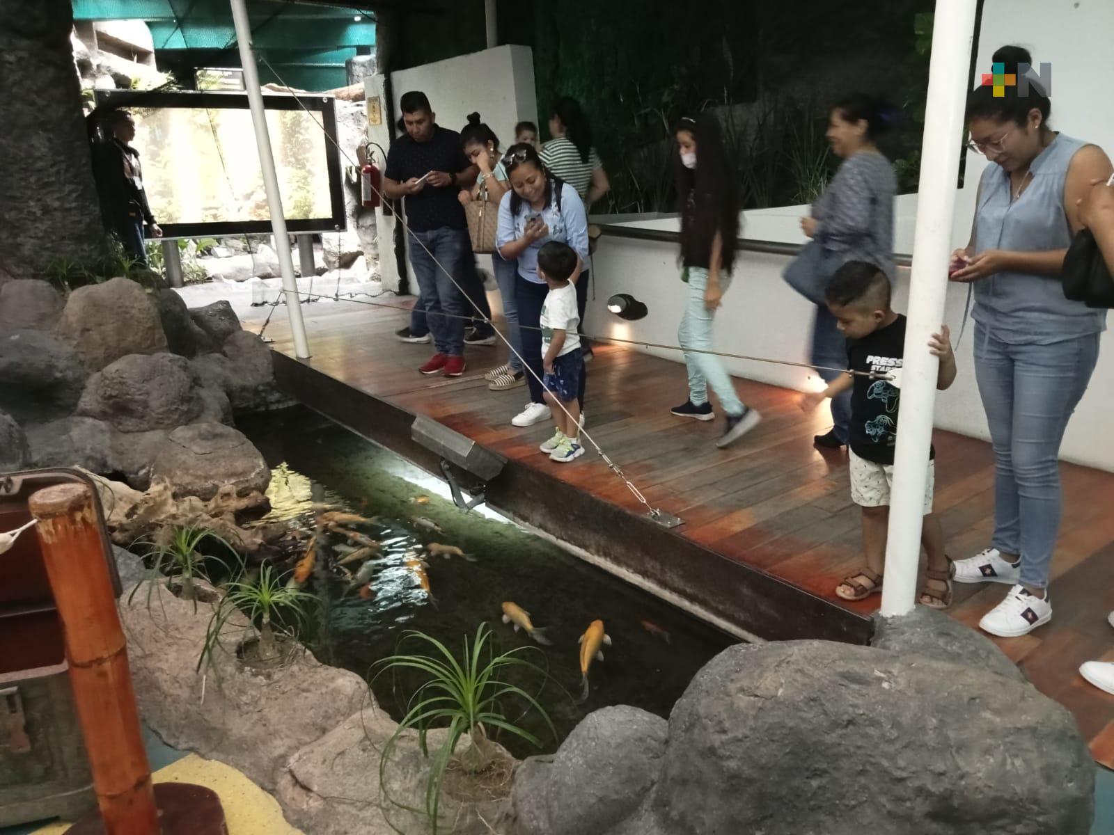 El frente frío 41 no impidió la llegada de visitantes al Aquarium de Veracruz
