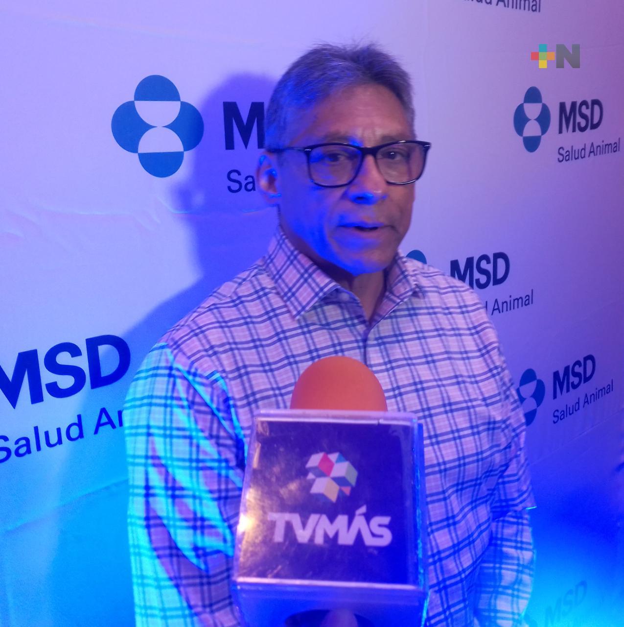 Ganaderos veracruzanos preocupados por el control de diferentes tipos de parásitos