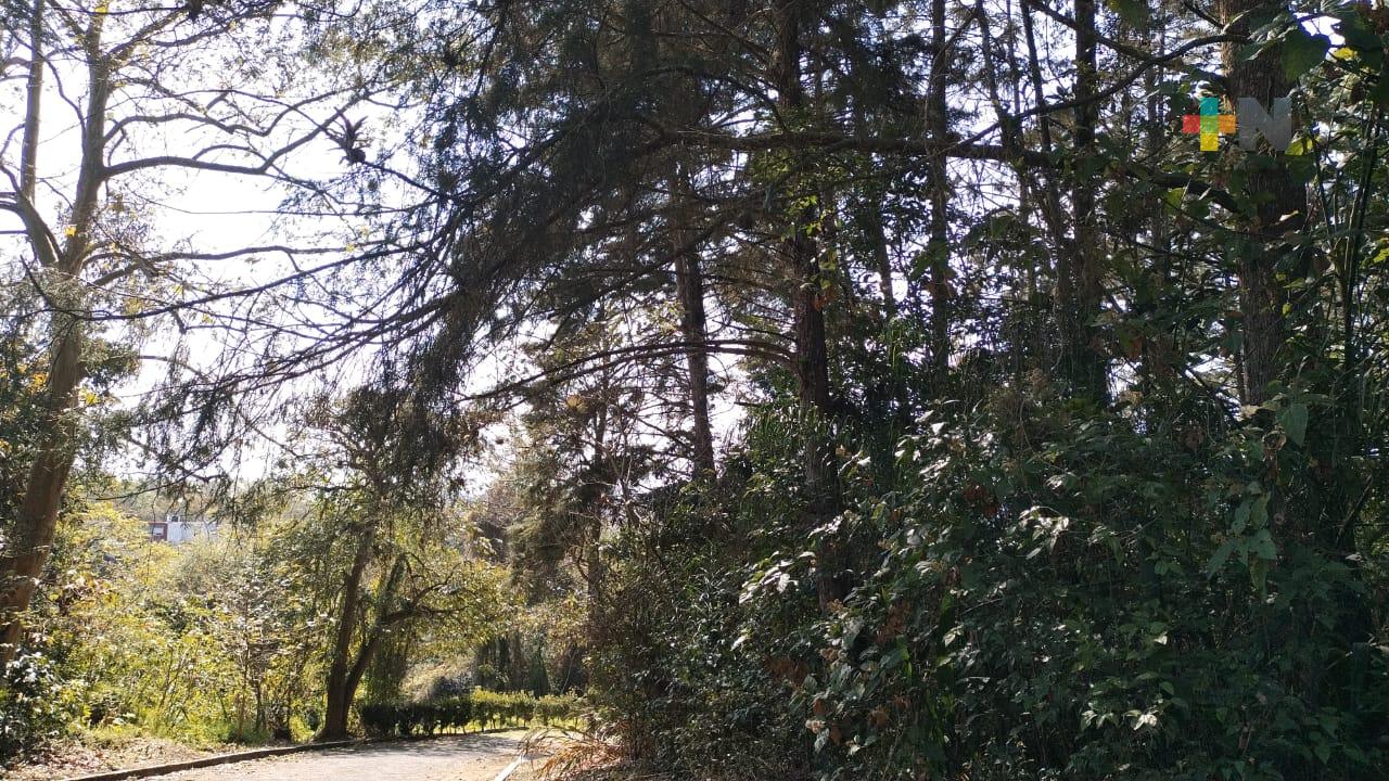 En Xalapa realizan charlas en el marco del Día Internacional de los Bosques