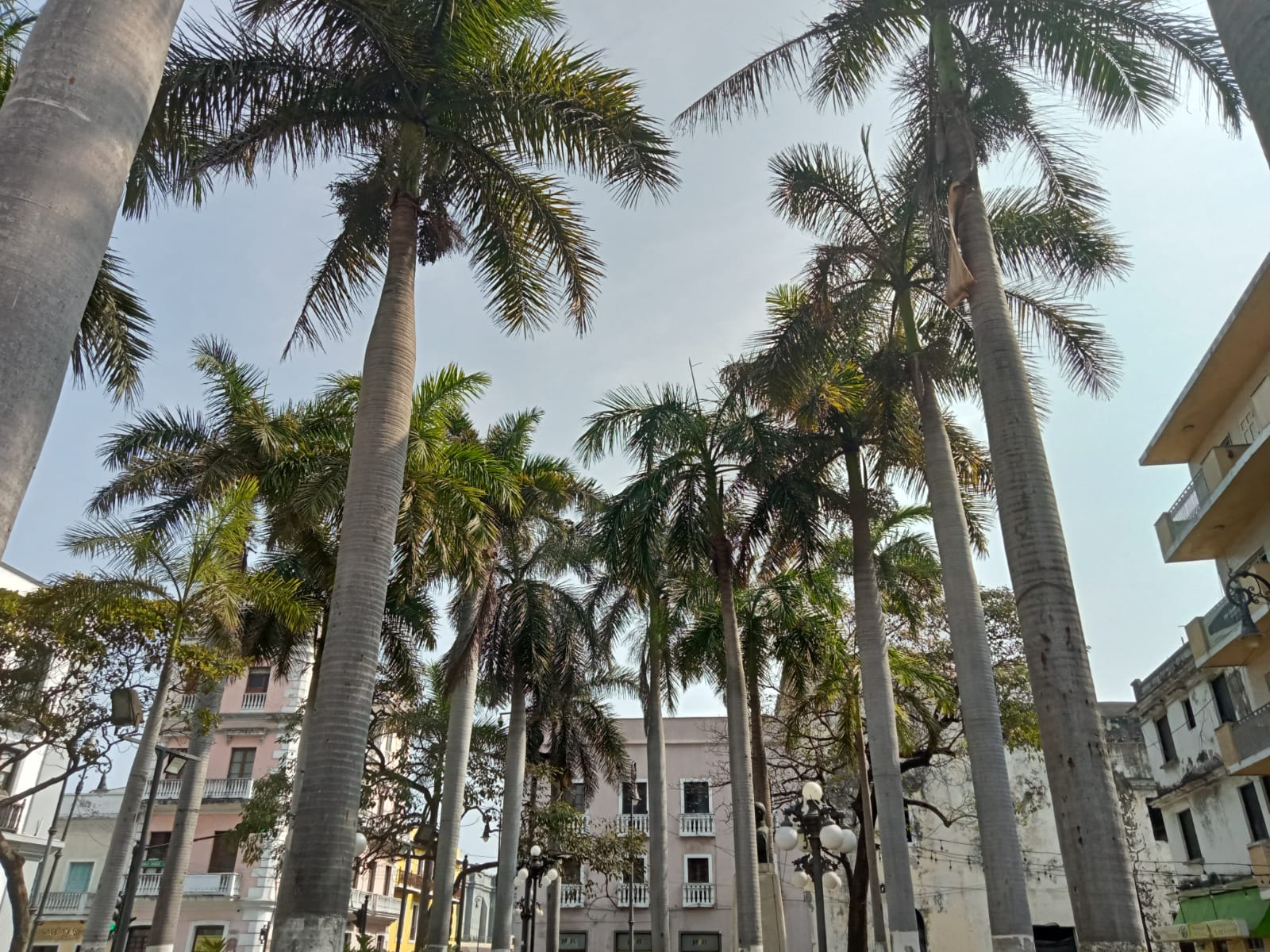 Aumentarán nublados con potencial de lluvias y tormentas en el estado de Veracruz