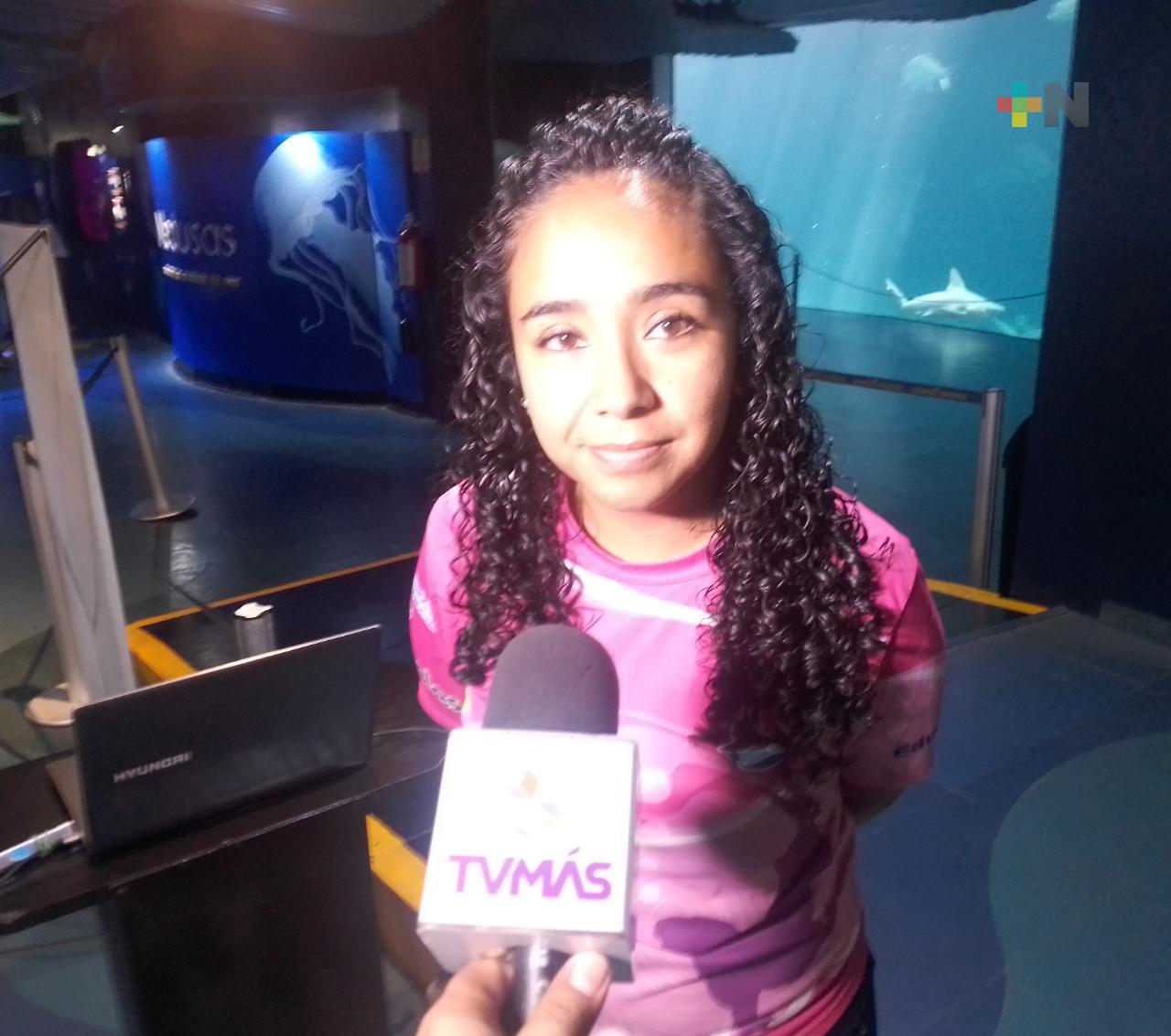 Exhortan a población a respetar delfines que se avistan en malecón de Veracruz